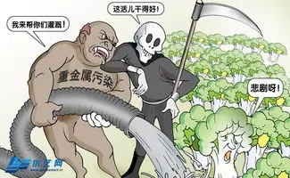 “土壤病”的因果和危害 “土壤病”的因果和危害