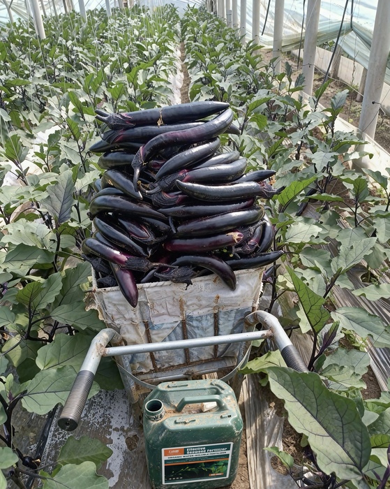 WechatIMG10490.jpg